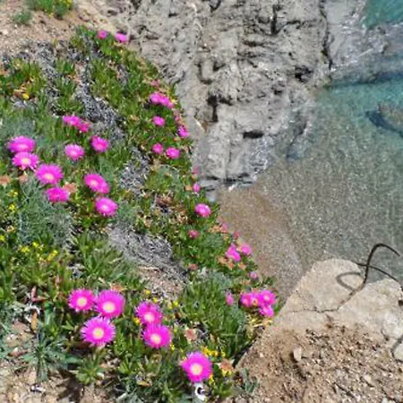 Hébergement de vacances Incantevole Villino Sul Mare Con Accesso Diretto Alla Spiaggia, Posto Auto E Aria Condizionata! Capoliveri (Isola d'Elba)